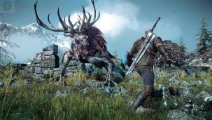  Nouvelles images pour The Witcher 3  Xbox One The Witcher 3 CD Projekt 