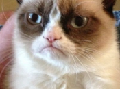 Imgur lance générateur meme