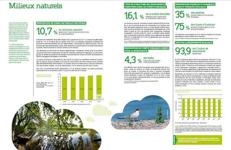 Les Indicateurs Environnement Alsace 2013 !