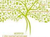 Indicateurs Environnement Alsace 2013