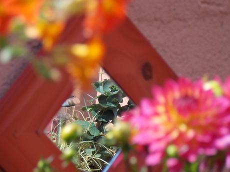 réflection en terrasse