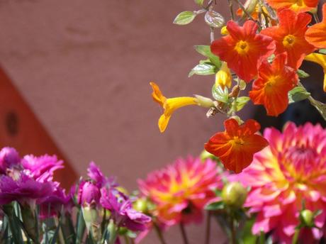 réflection en terrasse