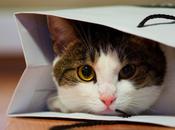 Accessoires iPhone, iPad, jusqu'à -75% (normal sont soldes)...