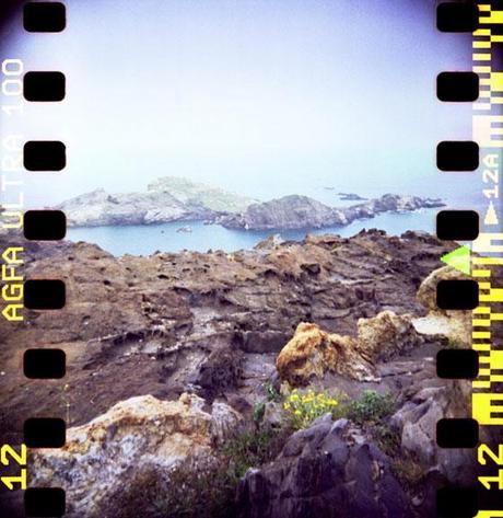 Lomography (and more) by Steph Goralnick