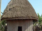 L'IMAGE JOUR: Case camerounaise
