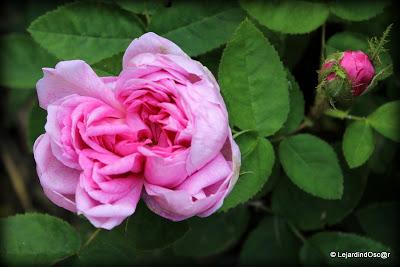 La saison semble s'installer, certes, à petits pas, mais ...
