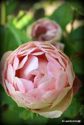 La saison semble s'installer, certes, à petits pas, mais ...