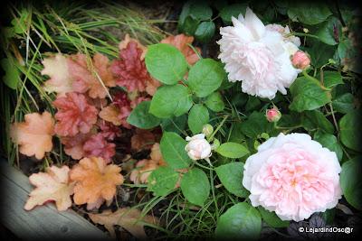 La saison semble s'installer, certes, à petits pas, mais ...