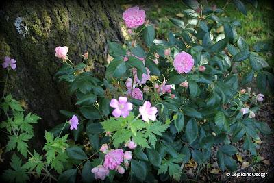 La saison semble s'installer, certes, à petits pas, mais ...