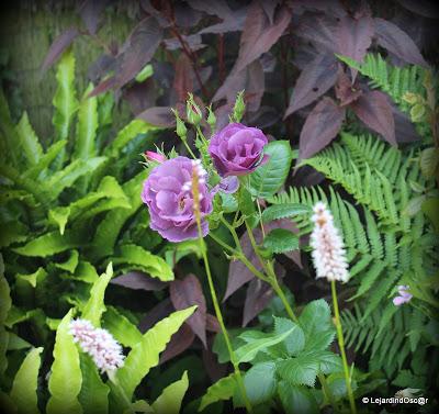 La saison semble s'installer, certes, à petits pas, mais ...