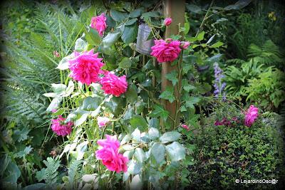 La saison semble s'installer, certes, à petits pas, mais ...