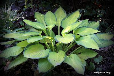 La saison semble s'installer, certes, à petits pas, mais ...