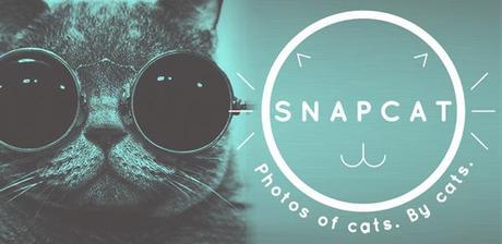 Snapcat-app