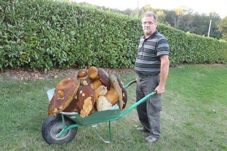 nouvelles du tour, of corse et cie...