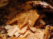 vendredi c'est retour vers futur…Crunchy fingers chocolat Nutella dentelle