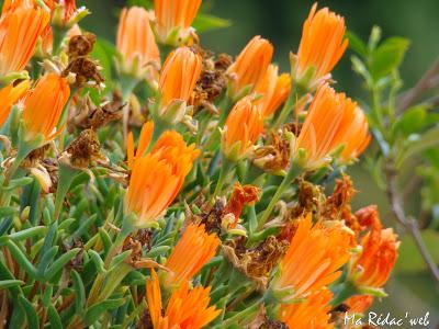 La nature en photo La nature en photo