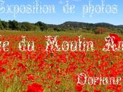 Vernissage l’Expo-Photos