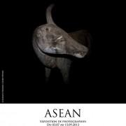 Exposition « ASEAN  » à la Galerie le Magasin de jouets | Arles