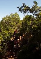 Bien voir pour bien rouler !