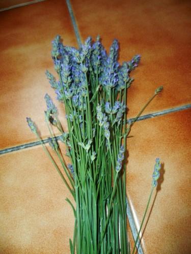 saisons,vacances,été,journal intime,nouvelles et textes brefs