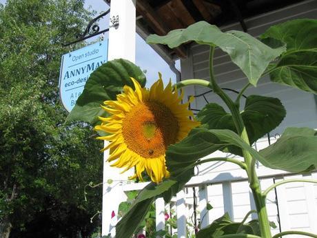 Jardiner avec les enfants: des activités inspirantes à faire pendant l'été!