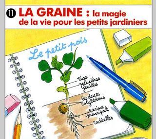 Jardiner avec les enfants: des activités inspirantes à faire pendant l'été!