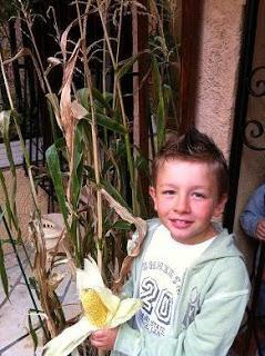Jardiner avec les enfants: des activités inspirantes à faire pendant l'été!