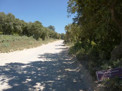 404- Autour du domaine de Sulauze, région de l'Etang de Berre