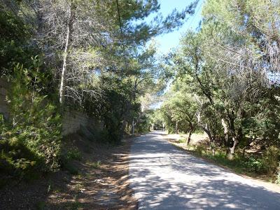 404- Autour du domaine de Sulauze, région de l'Etang de Berre