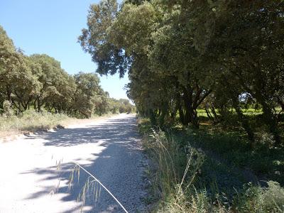 404- Autour du domaine de Sulauze, région de l'Etang de Berre