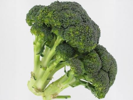 Quels aliments pour une bonne nutrition santé ? brocolis aliment legume nutrition sante