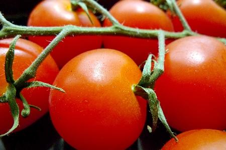 Quels aliments pour une bonne nutrition santé ? tomate fruit benefique nutrition sante bien etre