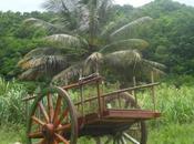 Charrette presque...