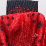 nike-lebron-x-low-usa-14