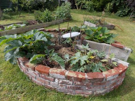 Au jardin, il ne faut jamais désespérer