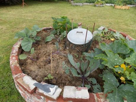 Au jardin, il ne faut jamais désespérer