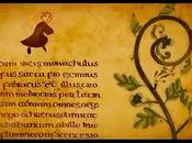 Grâce collègue inspirante, j’ai découvert petit...