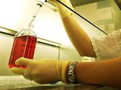 scientifiques point percer secret jeunesse éternelle