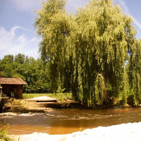 À LA RECHERCHE DE LA TRANQUILITÉ.