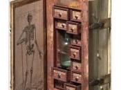 Lecture féminin pluriel