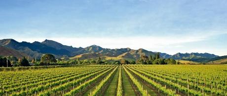 banner 0007 Rimapere e1371198497467 1440x616