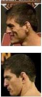 Les indices non-verbaux lors des combats UFC