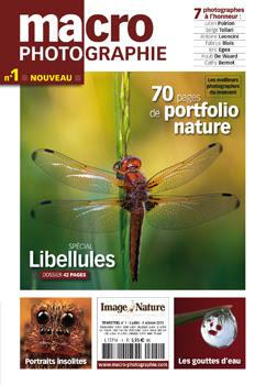 Macro Photographie: un nouveau magazine de petites bêtes et de grandes images!