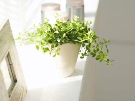 dietcokeandasmoke:

creepin’
