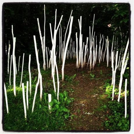 Parc naturel régional de la Montagne : Camille Thibert