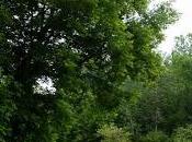 plaisirs d'une journée bien remplie