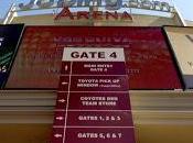 Coyotes restent Phoenix