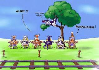 453°  La carpe et le lapin sont bien complices...