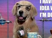 [Màj] Micros-casques inclus avec Xbox s’agissait d’une erreur