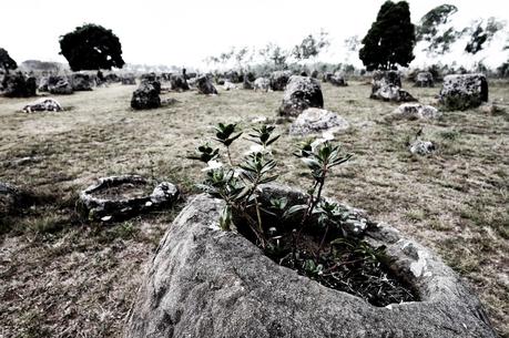 La mystérieuse Plaine des Jarres (jour 21)